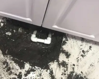 离石查漏水哪家好